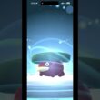 色違いハスボーを進化！2月も色違いデータ収集中 #ポケモンgo