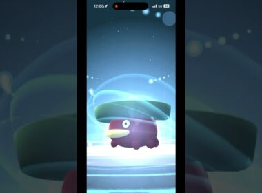 色違いハスボーを進化！2月も色違いデータ収集中 #ポケモンgo