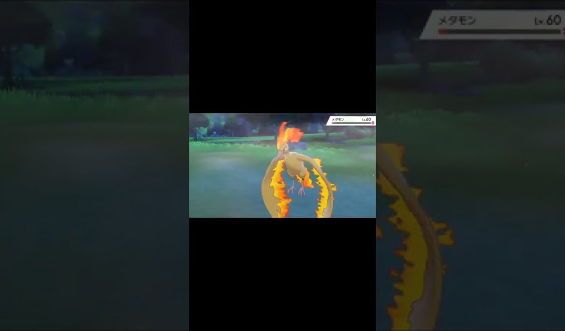 【ポケモン剣盾】色違いガラルファイヤー、カントーファイヤーの技を奪い倒す。カントーファイヤー涙目…🥺 #ポケモン剣盾 #剣盾 #ガラルファイヤー #shorts