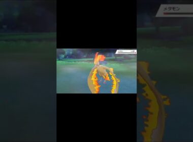 【ポケモン剣盾】色違いガラルファイヤー、カントーファイヤーの技を奪い倒す。カントーファイヤー涙目…🥺 #ポケモン剣盾 #剣盾 #ガラルファイヤー #shorts