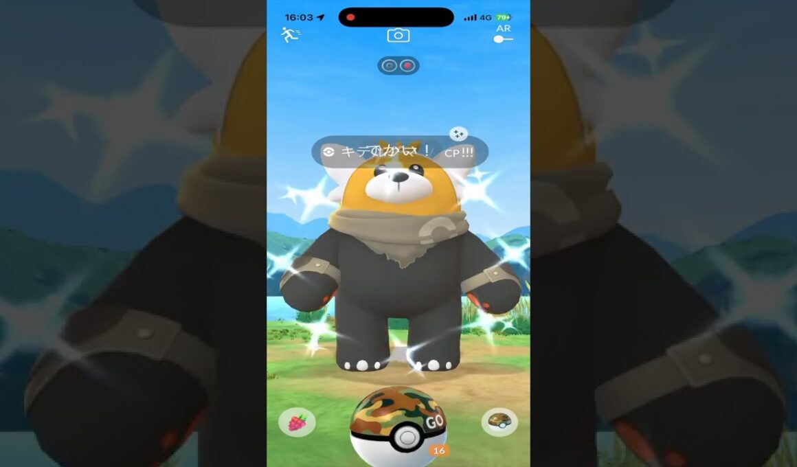 【ポケモンGO】ワイルドエリア長崎でキテルグマ色違い狙ってたら優勝したんだけど一つ足りない…。 #ポケモン #ポケgo #ポケモンgo #ゲーム実況 #pokemon #pogo #shorts