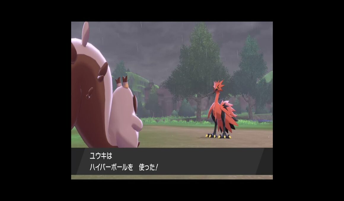 ポケモン剣盾】2倍速 ガラルサンダー捕獲大作戦！