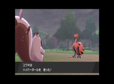 ポケモン剣盾】2倍速 ガラルサンダー捕獲大作戦！