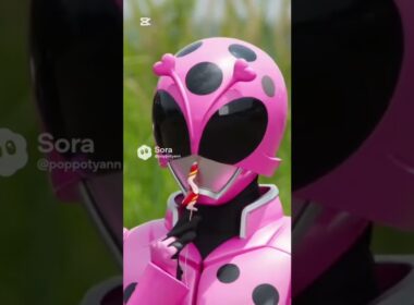 昆虫戦隊ムシレンジャー