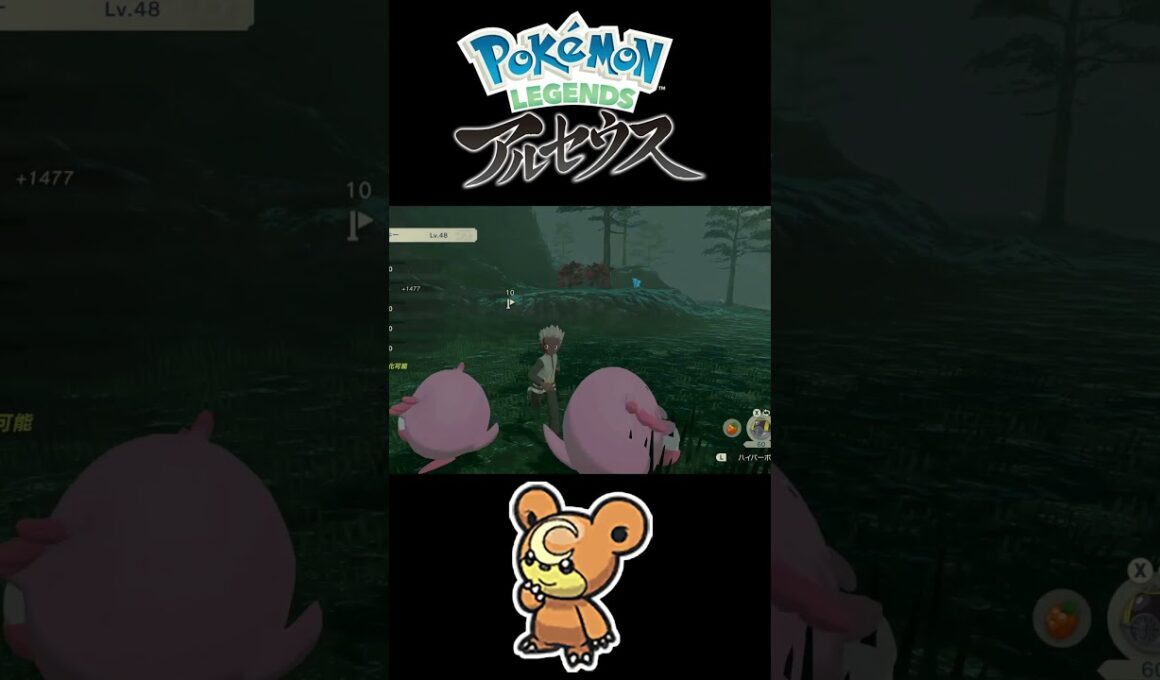 色違いヒメグマが全然捕まらなくて焦りました…【Pokémon LEGENDS アルセウス】 #shorts