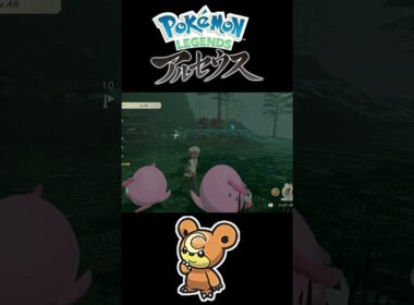 色違いヒメグマが全然捕まらなくて焦りました…【Pokémon LEGENDS アルセウス】 #shorts