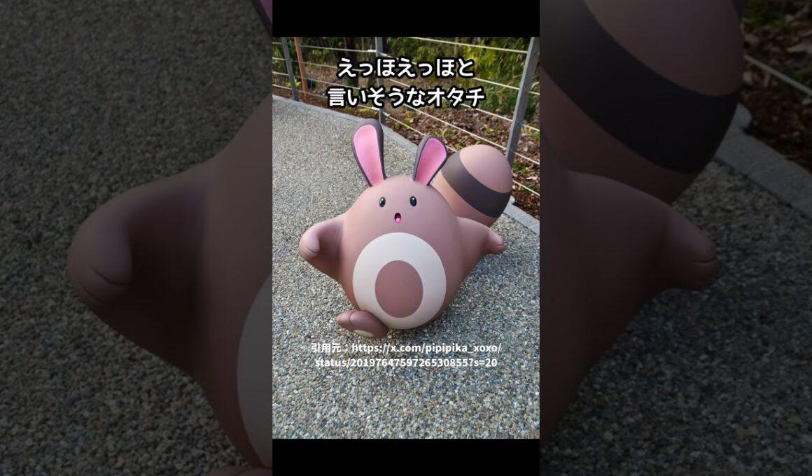 様々なオタチたち【ポケパークカントー】