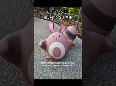 様々なオタチたち【ポケパークカントー】