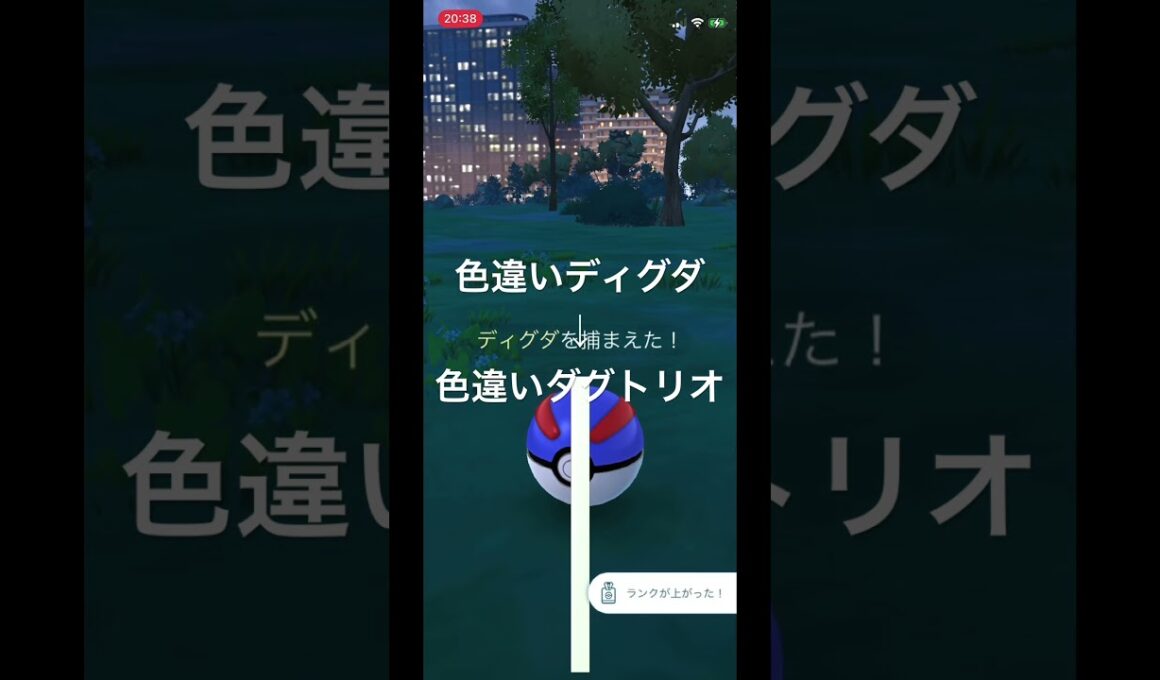 ポケモンGO　色違いディグダ出現！色違いダグトリオへ進化！ #ポケモン