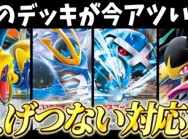 今こんな強いの？ダイゴのメタグロスexデッキがアツい【ポケカ対戦】