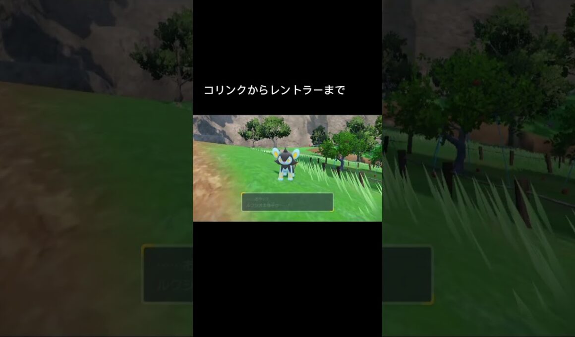 #超最上級　#レントラー　にかわいいの！　#pokémon  #ポケモンsv
