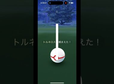 【ポケモンGO】色違いトルネロス（れいじゅうフォルム）があらわれた！/SHINY Tornadus appeared！ #shorts