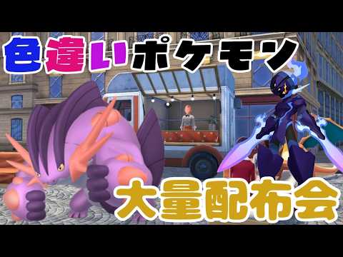 レジェンズZA ミズゴロウやグレンアルマ等大量色違いポケモン布会 詳細は概要欄へ　ポケモンｓｖ　剣盾　ダイパ　＃M次元ラッシュ