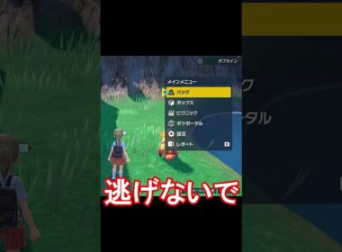 ミブリムとの出会い！