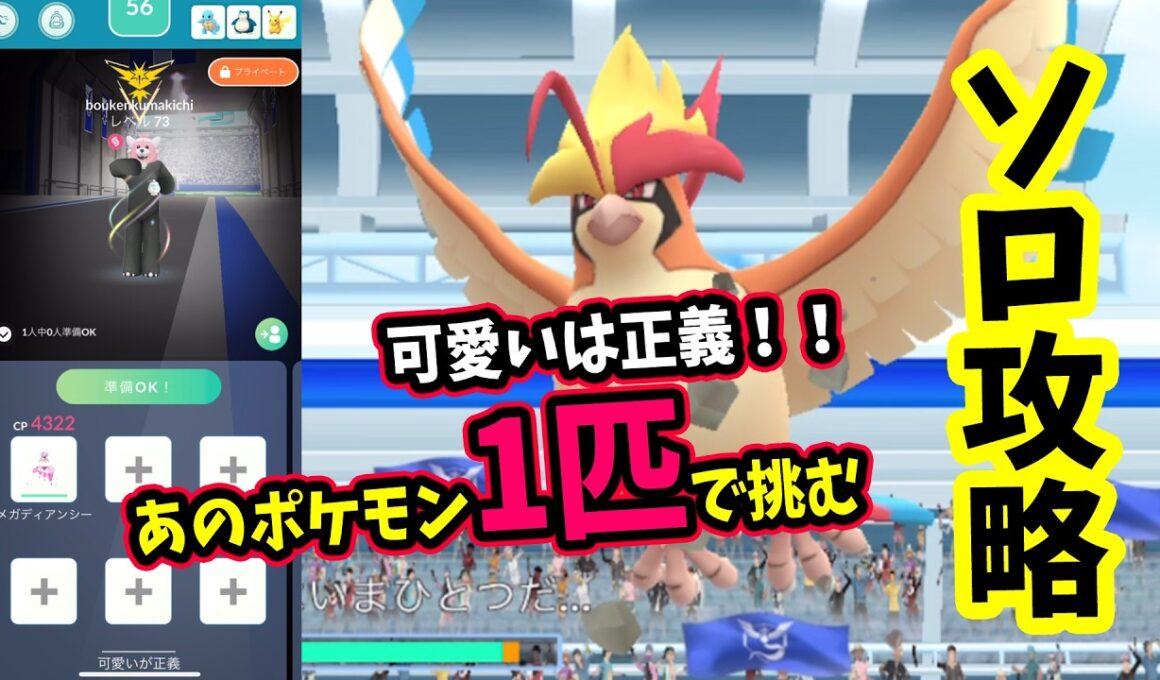 【ポケモンGO】可愛いソロ攻略！メガピジョットレイドをメガディアンシー1匹だけで弱点のいわ技で対策して1人討伐！メガピジョットを攻略するメリットなども解説