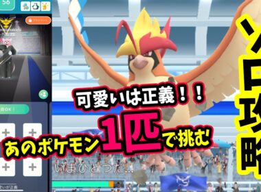 【ポケモンGO】可愛いソロ攻略！メガピジョットレイドをメガディアンシー1匹だけで弱点のいわ技で対策して1人討伐！メガピジョットを攻略するメリットなども解説
