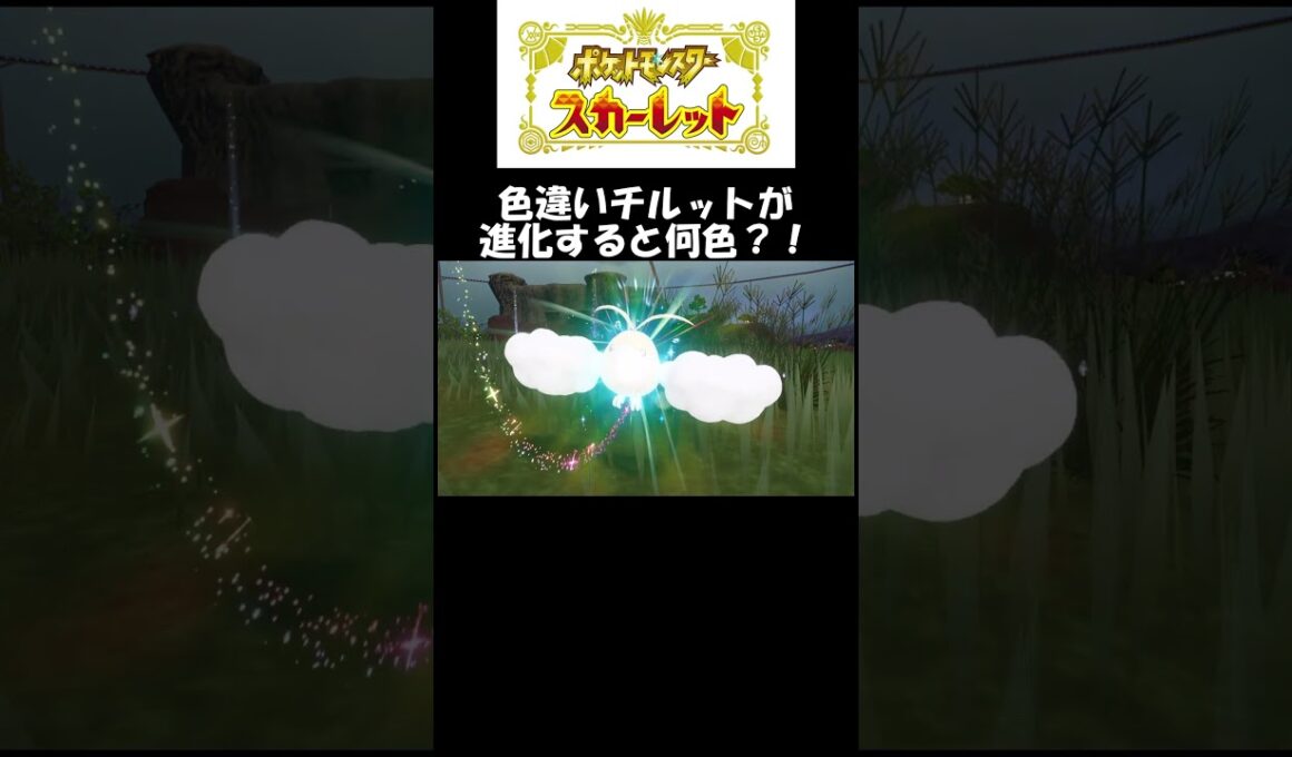 色違いチルットが進化すると何色？！#スカーレット#ポケモン#ポケモンsv #色違い#ゲーム#ゲーム実況#ゲーム配信#参加型#初心者#ゲーマー夫婦#switch