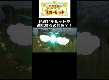 色違いチルットが進化すると何色？！#スカーレット#ポケモン#ポケモンsv #色違い#ゲーム#ゲーム実況#ゲーム配信#参加型#初心者#ゲーマー夫婦#switch