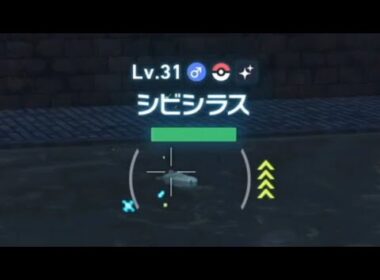 ワイルドゾーン10(シビシラス・ヤドン)色違い探し＃40【Pokémon LEGENDS Z-A】