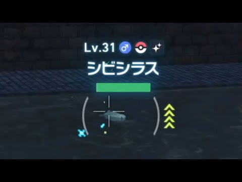 ワイルドゾーン10(シビシラス・ヤドン)色違い探し＃40【Pokémon LEGENDS Z-A】