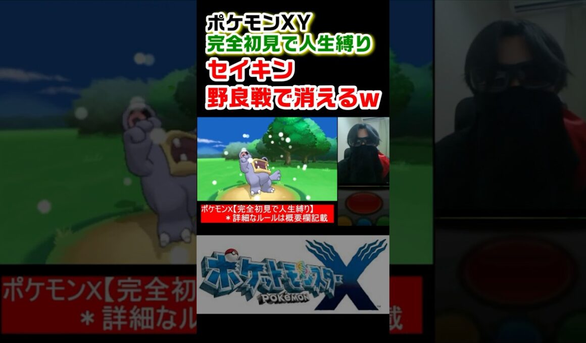 セイキン、野良トレーナー戦にて粉砕される【ポケットモンスターXY 完全初見で人生縛り】