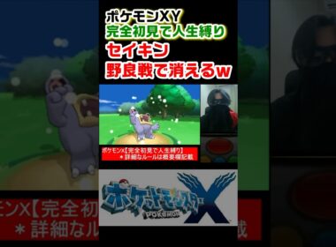 セイキン、野良トレーナー戦にて粉砕される【ポケットモンスターXY 完全初見で人生縛り】