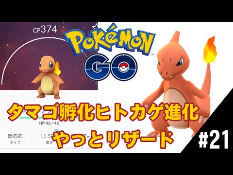 【ポケモンGO】タマゴ孵化ヒトカゲ進化リザード