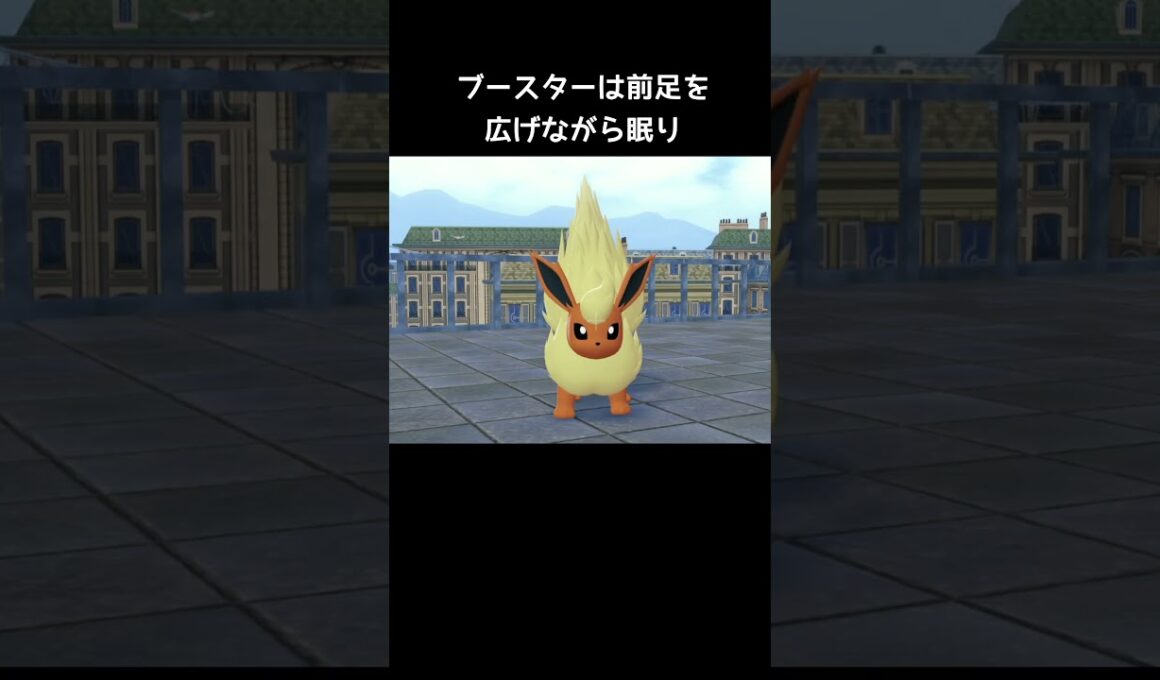 ブイズの寝方の違い【ポケモンZA】