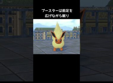 ブイズの寝方の違い【ポケモンZA】