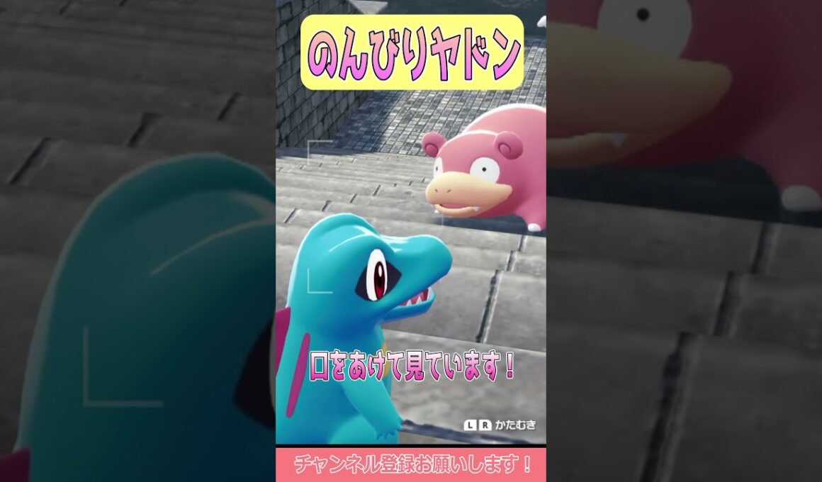 【ポケモンZA】ヤドンのおもしろ生態！ #shorts #ポケモンレジェンズ #ポケモンレジェンズza #ポケモン #ワニノコ #ヤドン