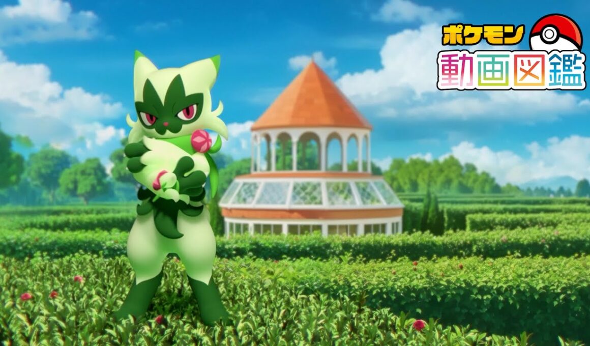 【公式】「ポケモン動画図鑑」No.0907 ニャローテ