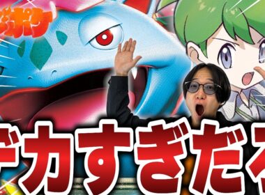 【ポケカ/対戦】デカすぎんだろ…‼ミツルで回復しまくるメガフシギバナは突破不可能!?【VSメガルカリオ/ドラパルト】