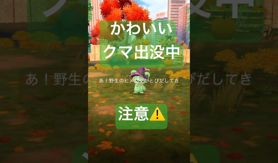 野生のコスチューム色違いポケモンを探して捕獲する動画# #ポケモンgo #pokemongo #ヒメグマ