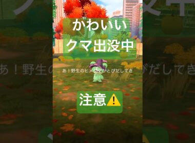 野生のコスチューム色違いポケモンを探して捕獲する動画# #ポケモンgo #pokemongo #ヒメグマ