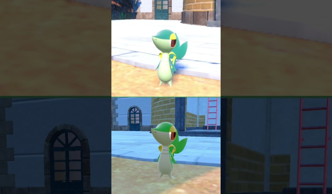 #ツタージャ  #ポケモン  #snivy  #pokemonscarletandviolet