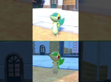 #ツタージャ  #ポケモン  #snivy  #pokemonscarletandviolet