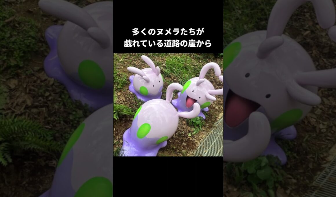 崖で佇むウソッキーと色違いのヌメラ