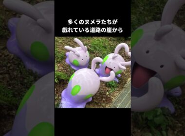 崖で佇むウソッキーと色違いのヌメラ