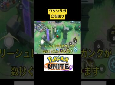 ワタシラガの使い方を解説 #shorts