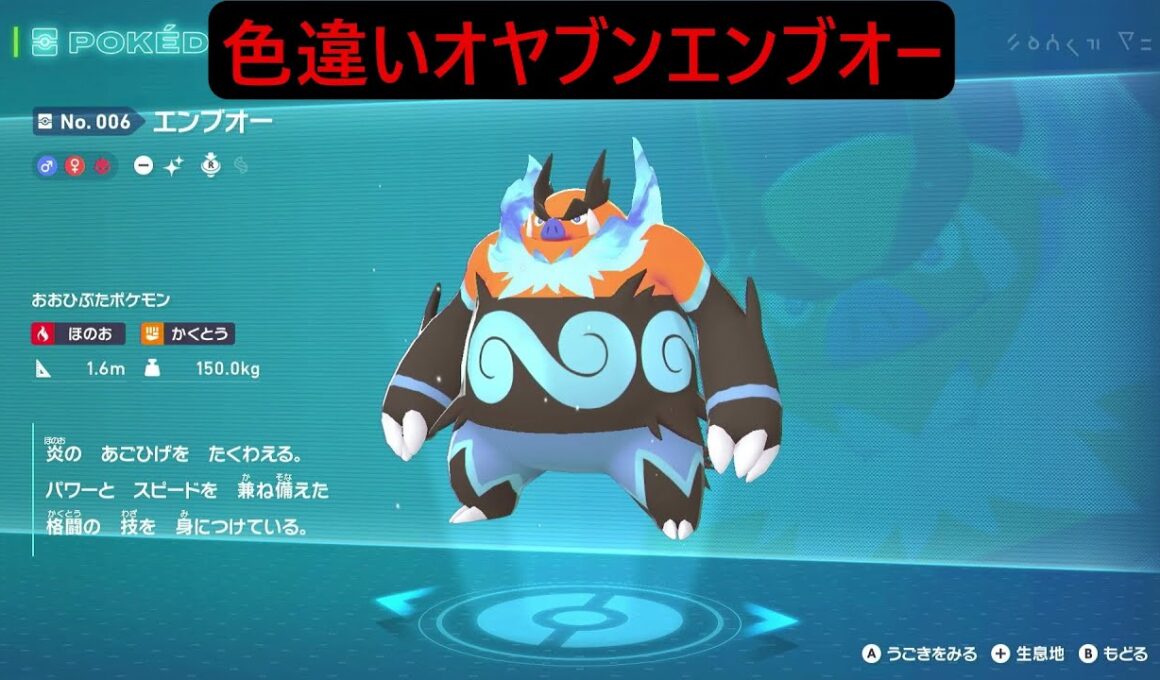 色違いオヤブンポカブ ポケモンレジェンズZA M次元ラッシュ Pokémon LEGENDS Z-A Mega Dimension #ポケモン