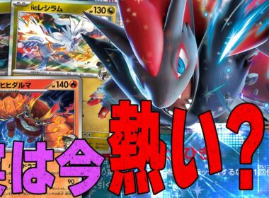 【伏兵】環境次第では爆発！！ Nのゾロアークが熱いかも？？【ポケカ対戦】N's Zoroark ex