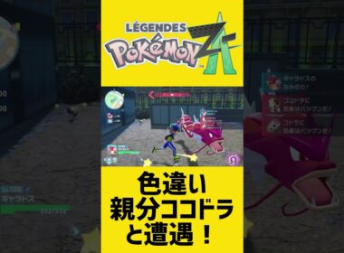 色違い親分ココドラと遭遇＆捕獲！｜ポケモンZA #shorts