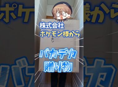 株式会社ポケモンから巨大な贈り物が来た【グレイシア】【等身大】