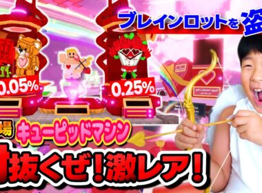 激やばキューピッドマシン！バレンタインイベントがやってきた！ハートラッキーブロック豊作祭！ | ブレインロットを盗む(Roblox)
