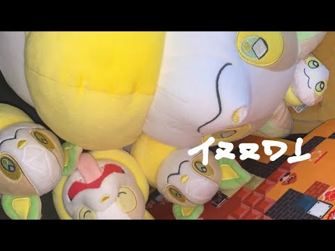 【vlog】増えていくワンパチ（かわいい）