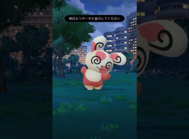 ぱちぱちパッチール👏やっと2匹目🐰　 #pokemon #ポケモン #パッチール #ポケモンgo #ポケgo