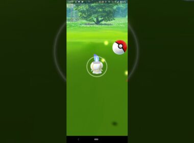 ポケモンGoのヒトモシ-B