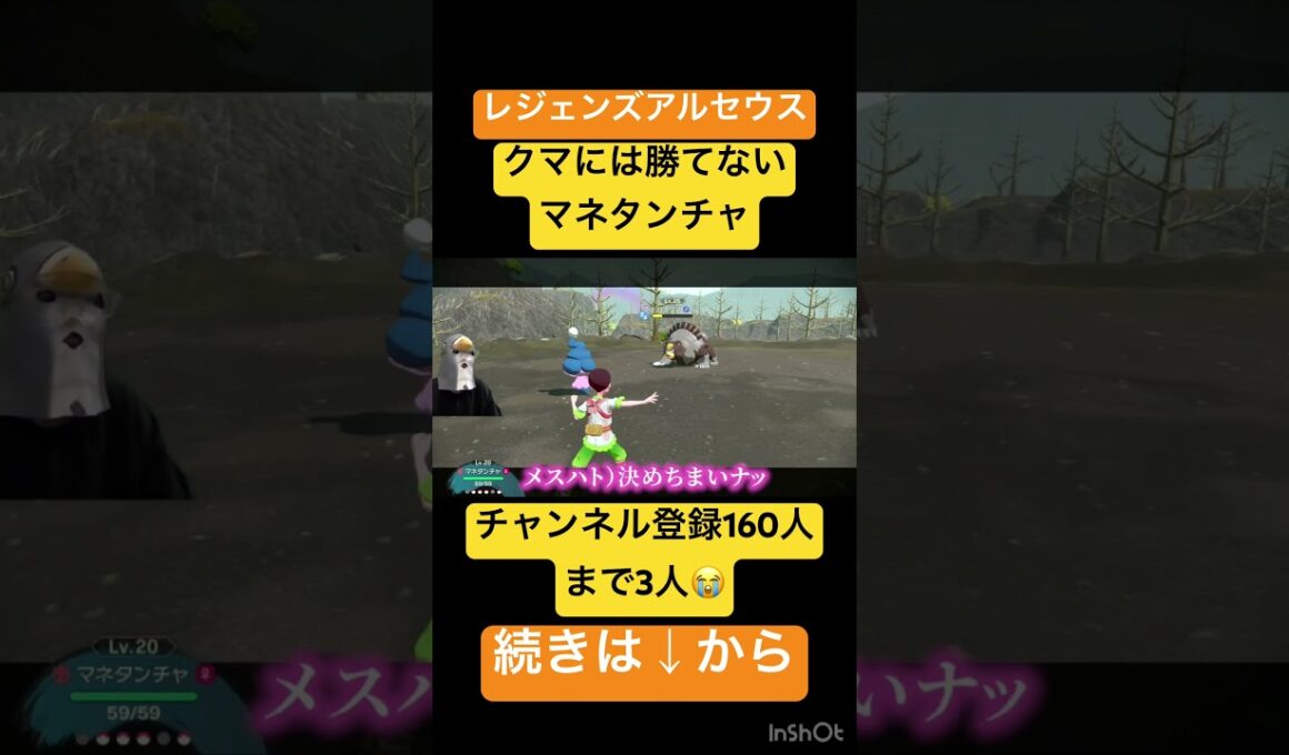 【初見レジェンズアルセウス】マネネが弱い【カップル実況】#ポケモン #ポケモンsv #pokemon #ゲーム実況 #スカーレット #ゲーム #ハトゲーム#ゲーム実況＃カップル実況