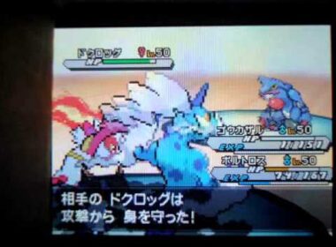 ポケモンBW2 ドクロッグに敗北 Pokemon