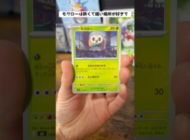 【ポケカ】モクローの生態